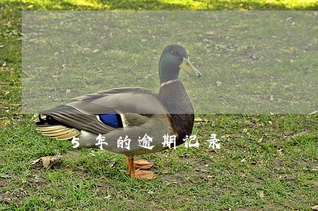 5年的逾期记录 5年的逾期记录