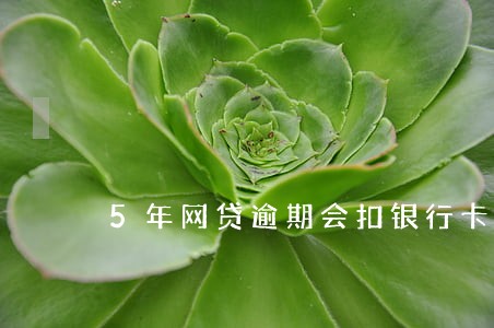 5年网贷逾期会扣银行卡的钱吗 5年网贷逾期会扣银行卡的钱吗