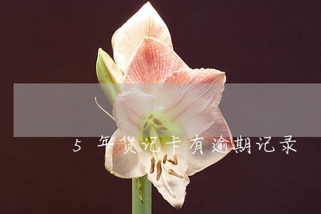5年货记卡有逾期记录 5年货记卡有逾期记录