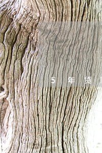 5年贷款9次逾期 5年贷款9次逾期