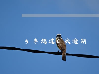5年超过6次逾期