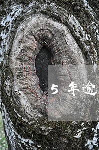 5年逾期12次并且发生在两年前
