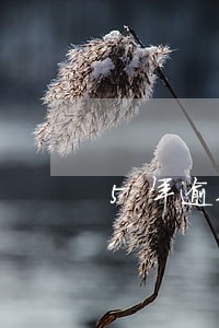 5年逾期24次两个2 5年逾期24次两个2
