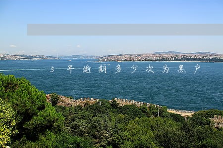 5年逾期多少次为黑户 5年逾期多少次为黑户