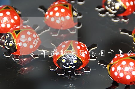 5年逾期未还信用卡怎么办