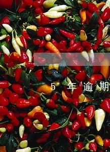 5年逾期消除 5年逾期消除