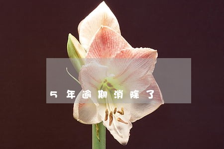 5年逾期消除了