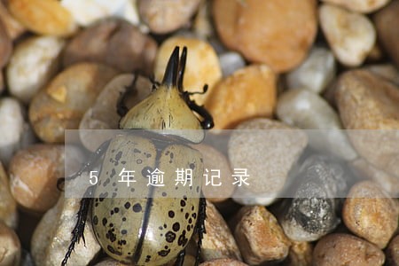 5年逾期记录 5年逾期记录