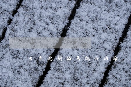 5年逾期记录就会消除 5年逾期记录就会消除