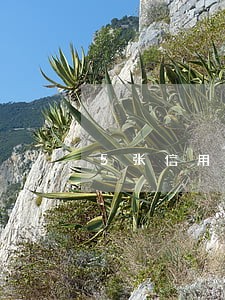 5张信用卡10万逾期2年