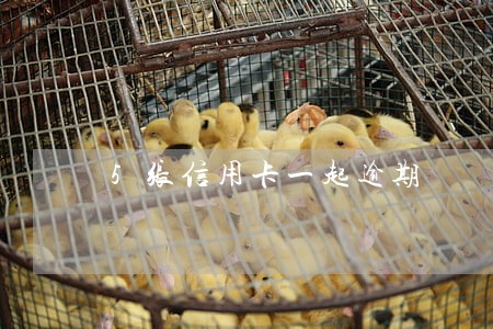5张信用卡一起逾期 5张信用卡一起逾期