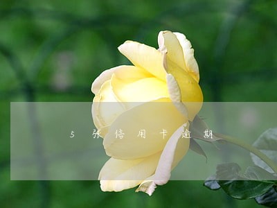 5张信用卡逾期 5张信用卡逾期