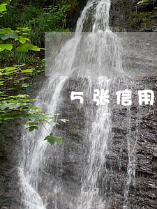 5张信用卡逾期一张怎么办