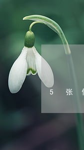 5张信用卡都逾期无力偿还怎么办 5张信用卡都逾期无力偿还怎么办