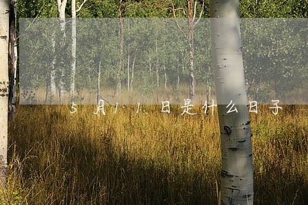 5月11日是什么日子 5月11日是什么日子