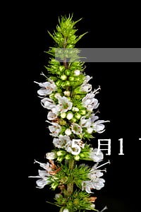 5月17日法院执行局立案 5月17日法院执行局立案