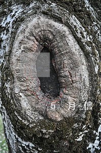 5月信用卡全面逾期 5月信用卡全面逾期