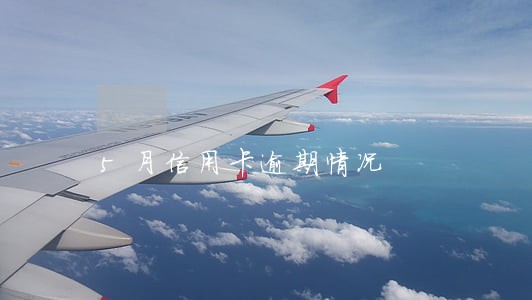 5月信用卡逾期情况 5月信用卡逾期情况