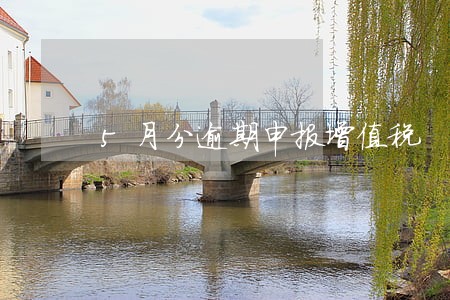 5月分逾期申报增值税 5月分逾期申报增值税