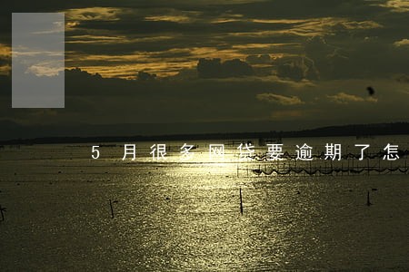 5月很多网贷要逾期了怎么办 5月很多网贷要逾期了怎么办
