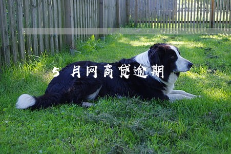 5月网商贷逾期 5月网商贷逾期