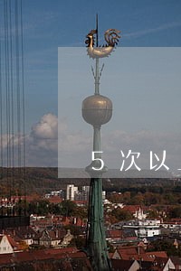 5次以上违法未处理的车辆 5次以上违法未处理的车辆
