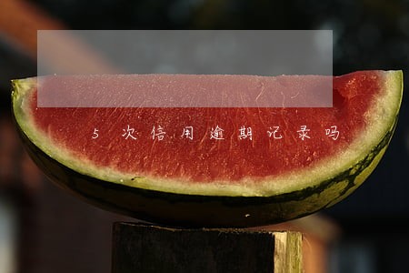 5次信用逾期记录吗 5次信用逾期记录吗