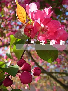 5次逾期影响公积金贷款么 5次逾期影响公积金贷款么
