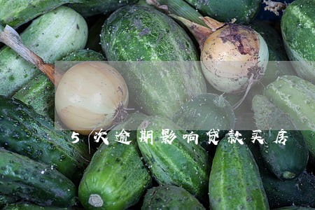 5次逾期影响贷款买房 5次逾期影响贷款买房