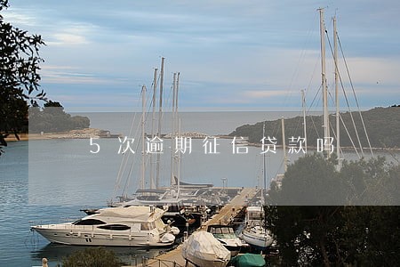 5次逾期征信贷款吗 5次逾期征信贷款吗