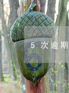 5次逾期申请贷款 5次逾期申请贷款