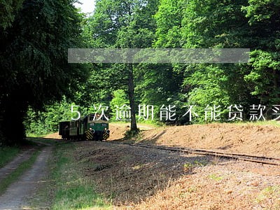 5次逾期能不能贷款买车