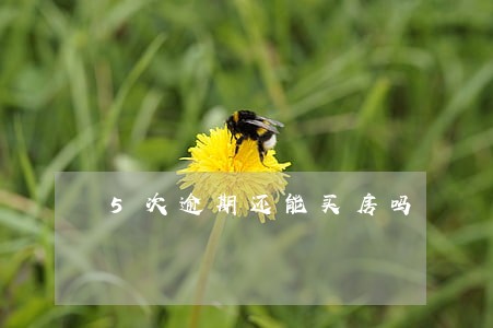 5次逾期还能买房吗 5次逾期还能买房吗