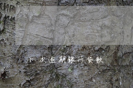 5次逾期银行贷款
