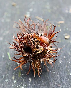 5毛麻将群怎么做才不违法