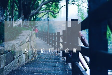 5笔信用卡逾期 5笔信用卡逾期