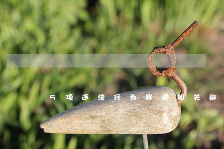 5项违法行为移送相关部门处理