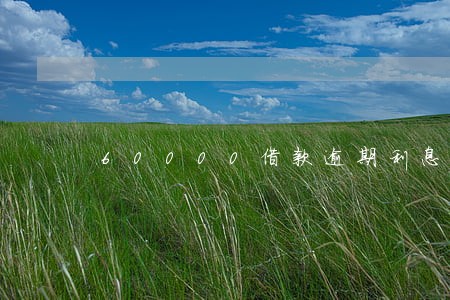 60000借款逾期利息多少 60000借款逾期利息多少