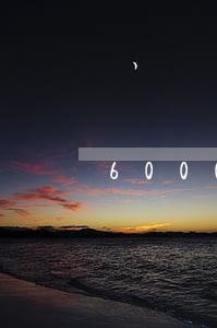 6000一天逾期费 6000一天逾期费