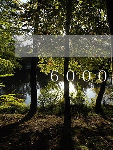 6000信用卡逾期怎么办 6000信用卡逾期怎么办