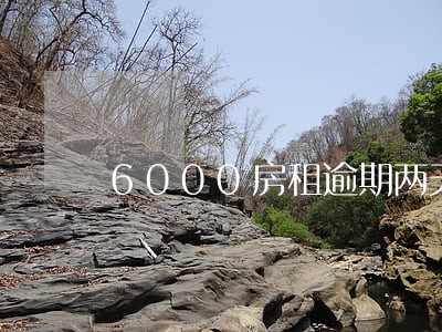 6000房租逾期两天 6000房租逾期两天