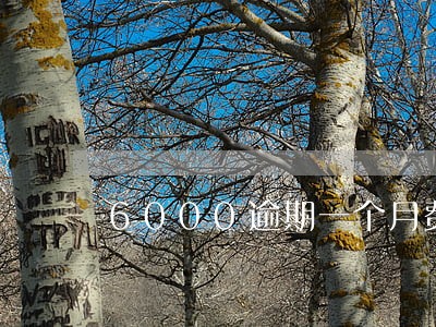 6000逾期一个月费用 6000逾期一个月费用