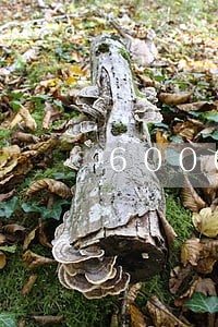 6000逾期三月拘留 6000逾期三月拘留