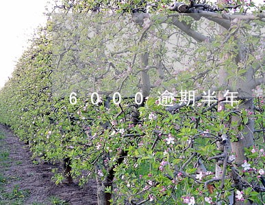 6000逾期半年 6000逾期半年