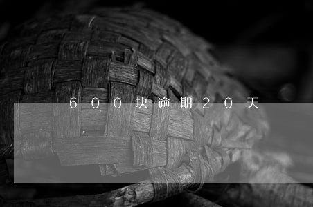 600块逾期20天 600块逾期20天