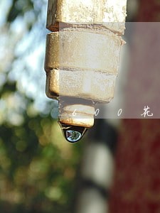 600花呗逾期半个月罚款多少 600花呗逾期半个月罚款多少