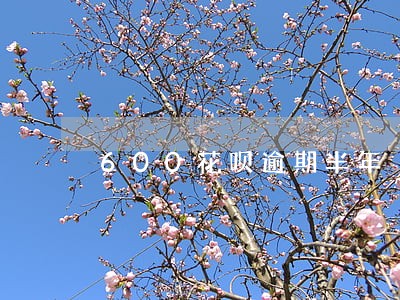 600花呗逾期半年 600花呗逾期半年