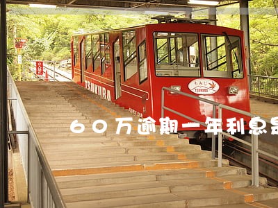 60万逾期一年利息是多少 60万逾期一年利息是多少