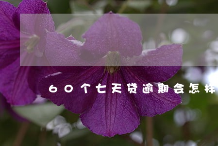 60个七天贷逾期会怎样 60个七天贷逾期会怎样