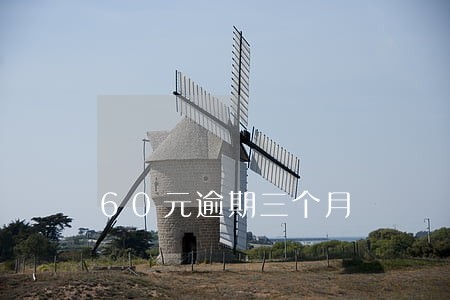 60元逾期三个月 60元逾期三个月